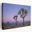 Joshua Tree landscape on large stretched canvas with earthy brown and green tones, suitable for kitchen wall art.