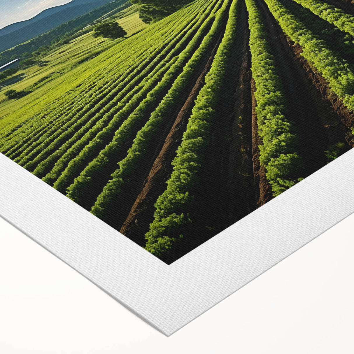 Art deco poster of Napa Valley landscape in soft earth tones on rolled canvas, suitable for dining room wall art.
