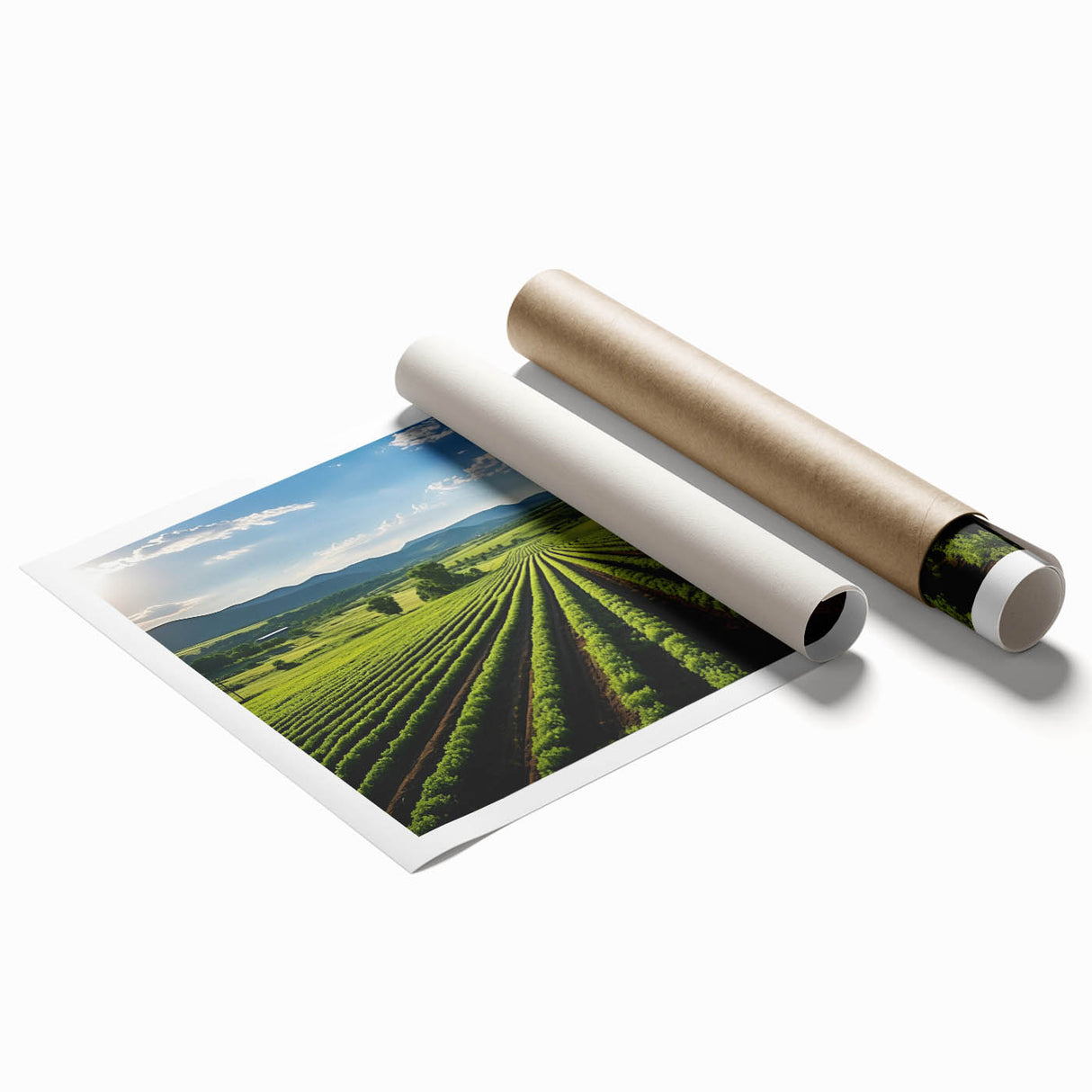 Extra large rolled print of Napa Valley scenery with vibrant green and floral elements, ideal for classy bathroom wall art.