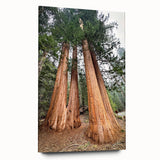 Large abstract wall art of sequoia trees in muted earth tones on acrylic glass, suitable for dining room ambiance.