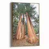 Framed canvas depicting a vintage-style landscape of California's Sequoia National Park in earth tones.