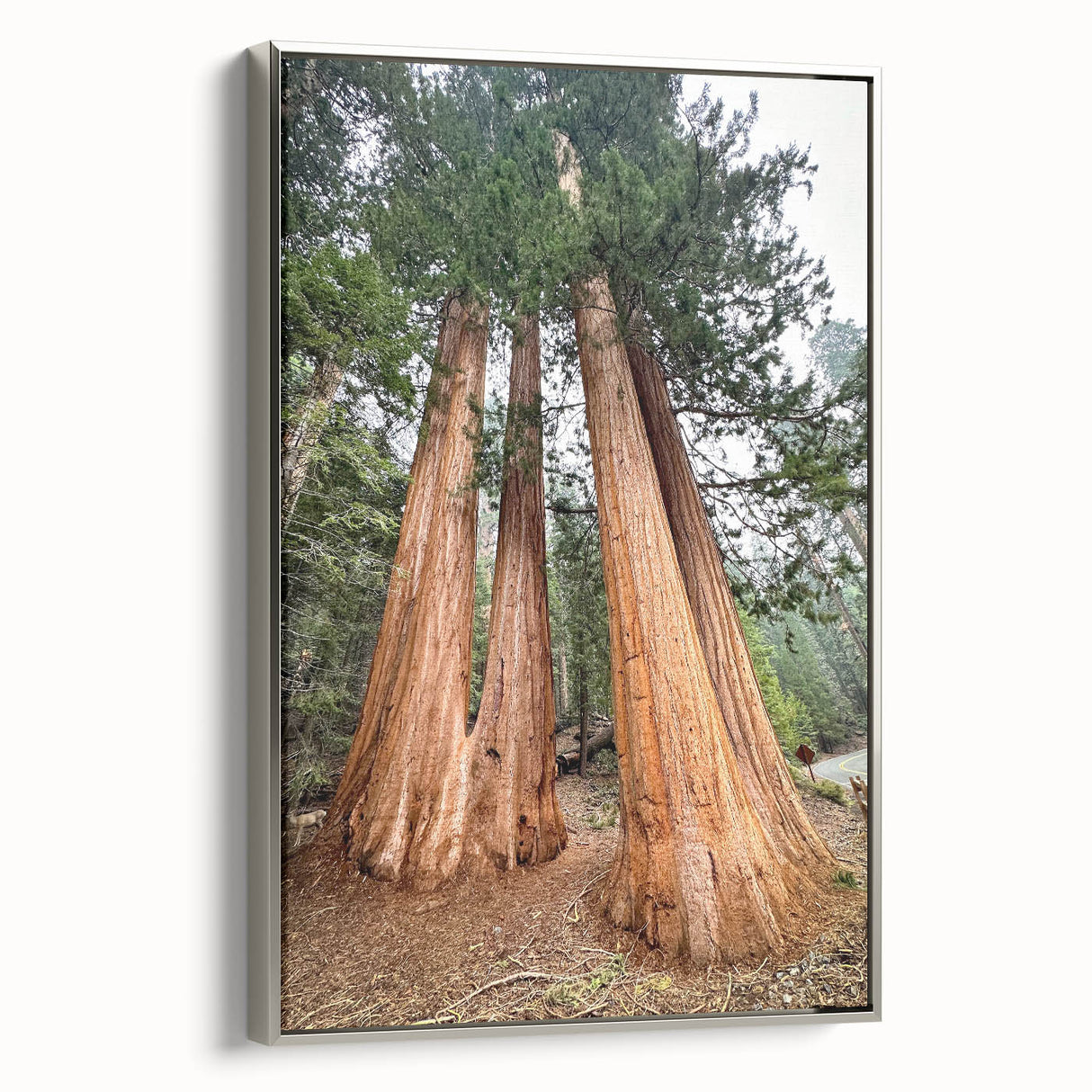Framed canvas of a vintage-style landscape painting depicting California's Sequoia National Park in colorful hues.