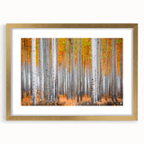 Extra large abstract art print of Aspen, Colorado scenery in textured gold frame, ideal for living room decor.