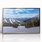 Large acrylic print of Boulder, Colorado scenery in gold frame, featuring mid-century modernist style.