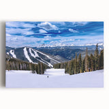 Black and white photograph of Boulder, Colorado scenery on large stretched canvas, ideal for kitchen wall art.