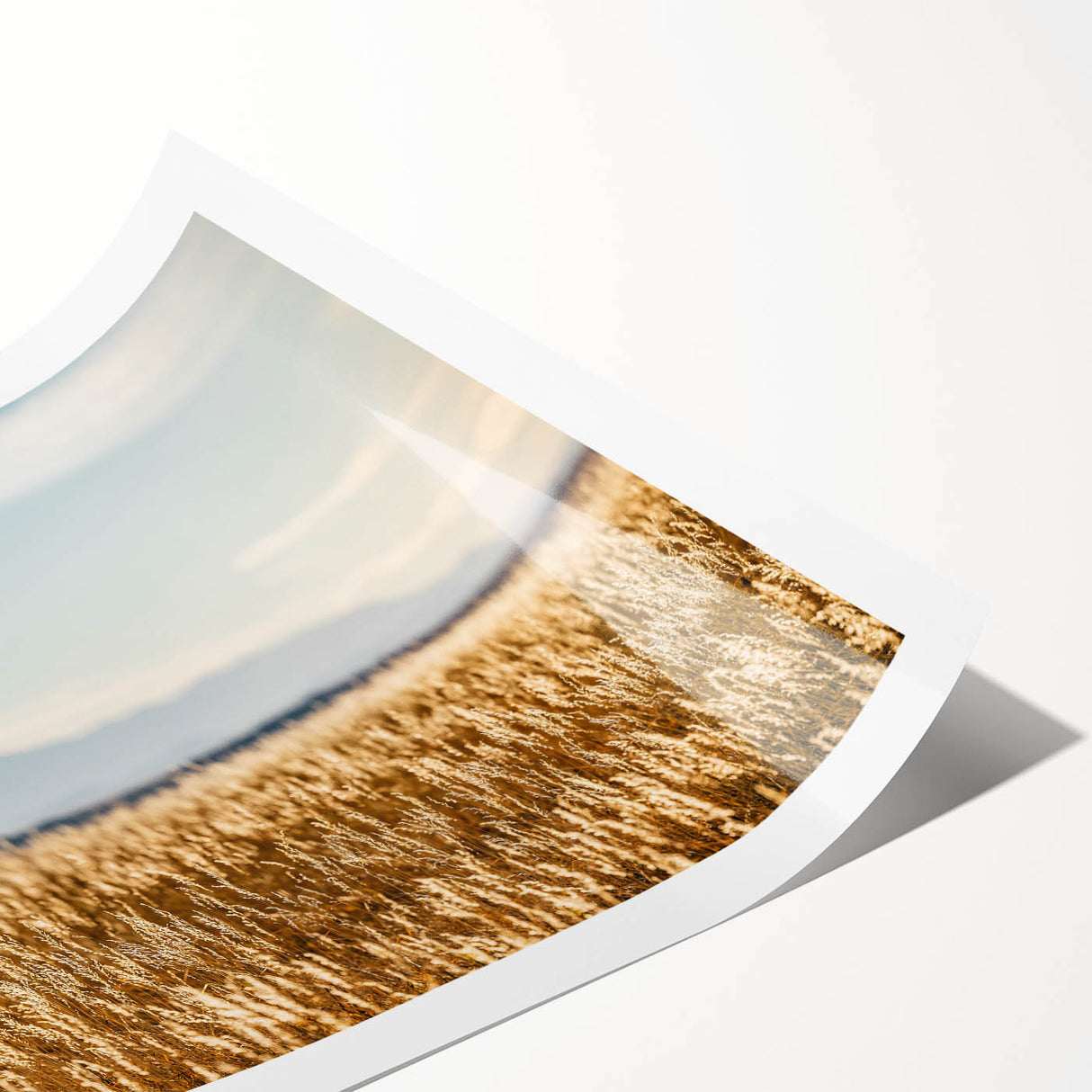 Extra large wall art featuring line art flowers set against Pikes Peak, Colorado, in muted earth tones.