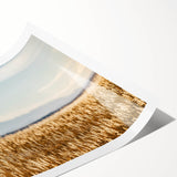 Extra large wall art featuring line art flowers set against Pikes Peak, Colorado, in muted earth tones.