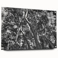 Acrylic print of a Telluride, Colorado landscape in muted earth tones, suitable for bedroom or dining room decor.