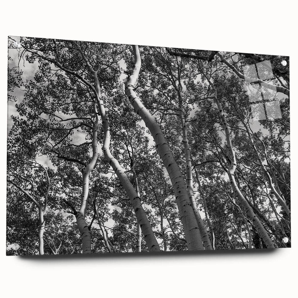 Acrylic print of a Telluride, Colorado landscape in muted earth tones, suitable for bedroom or dining room decor.