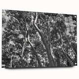 Acrylic print of a Telluride, Colorado landscape in muted earth tones, suitable for bedroom or dining room decor.