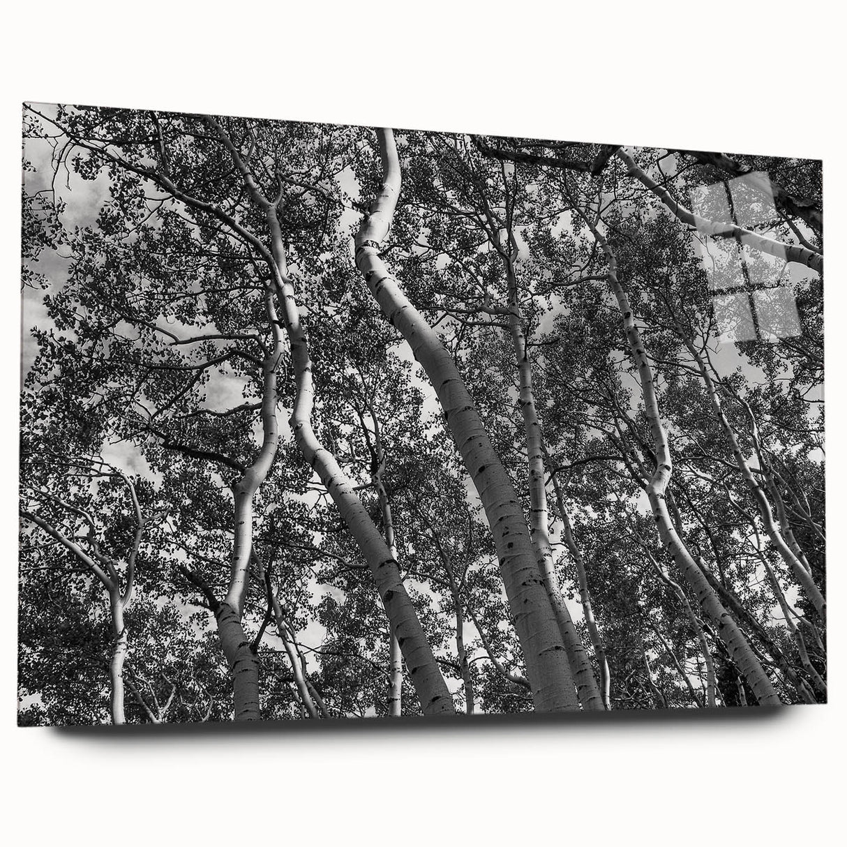Acrylic print of Telluride, Colorado landscape in muted earth tones, ideal for bedroom or dining room art.