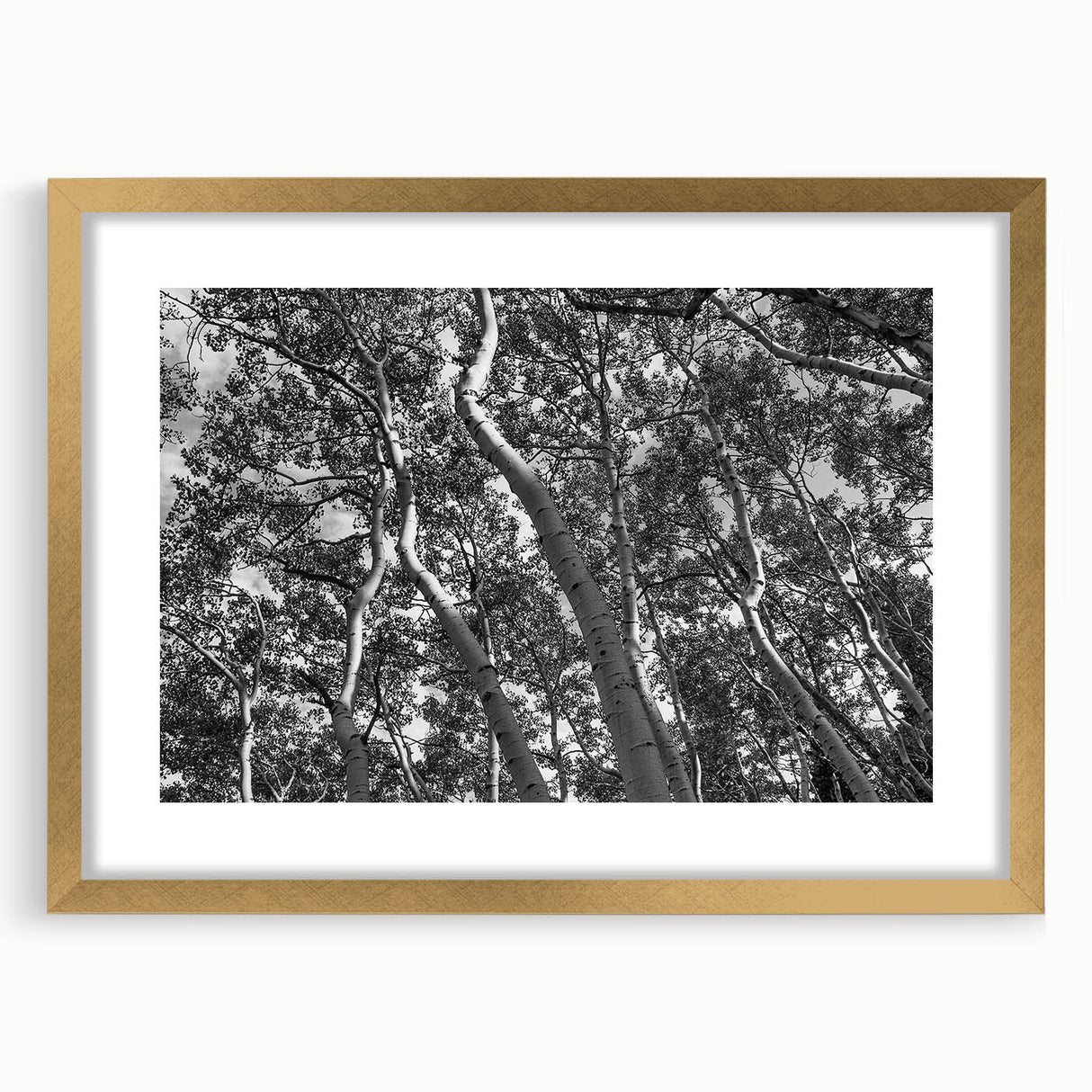 Extra large abstract art print of Telluride, Colorado scenery in gold frame, featuring textured earth tones.