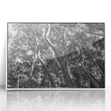 Art deco poster of Telluride, Colorado landscape in acrylic, framed in white, suited for modern nursery decor.