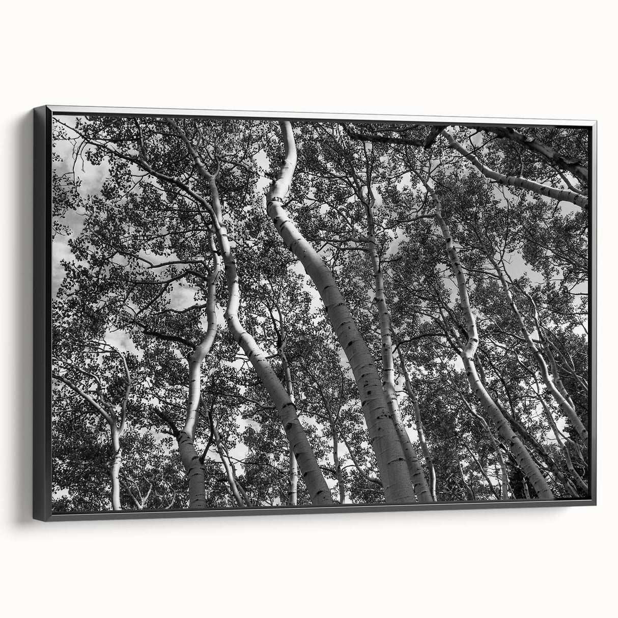 Black and white framed canvas of Telluride, Colorado landscape, ideal for bedroom wall art.