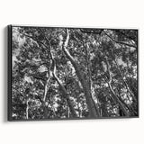Black and white framed canvas of Telluride, Colorado landscape, ideal for bedroom wall art.