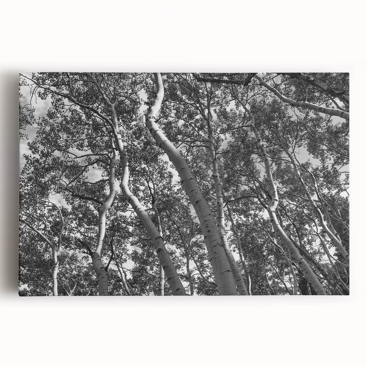 Black and white photograph of Telluride, Colorado on stretched canvas, suitable for kitchen wall art.