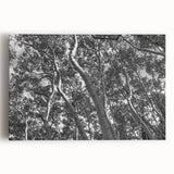 Black and white photograph of Telluride, Colorado on stretched canvas, suitable for kitchen wall art.