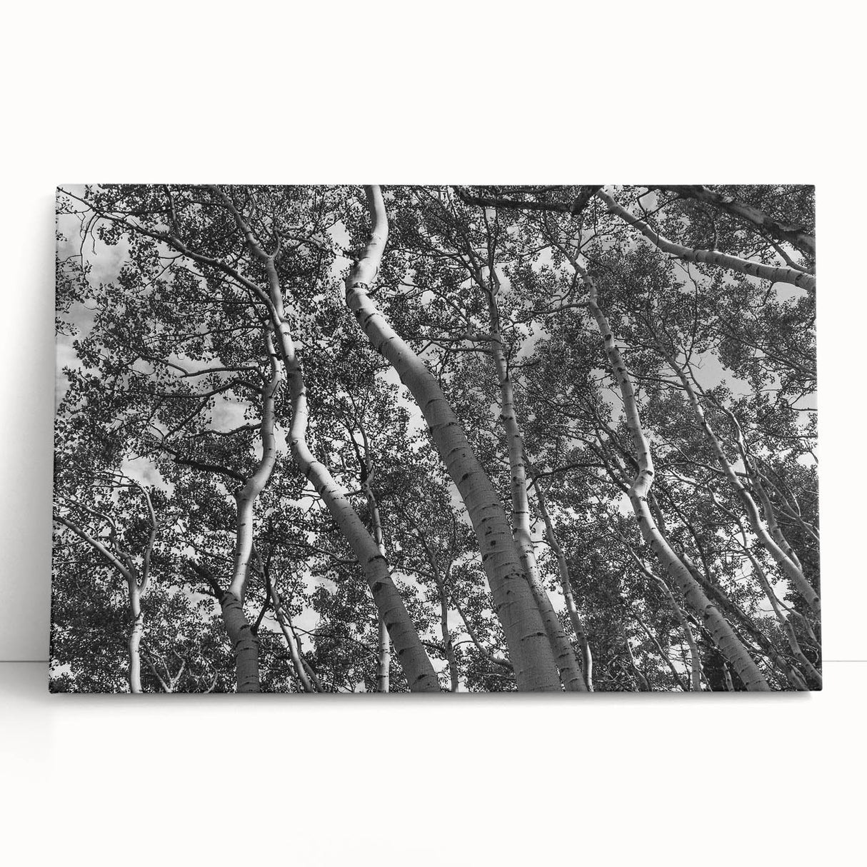 Black and white large canvas print of Telluride, Colorado scenery, ideal for kitchen wall art or bedroom ambiance.