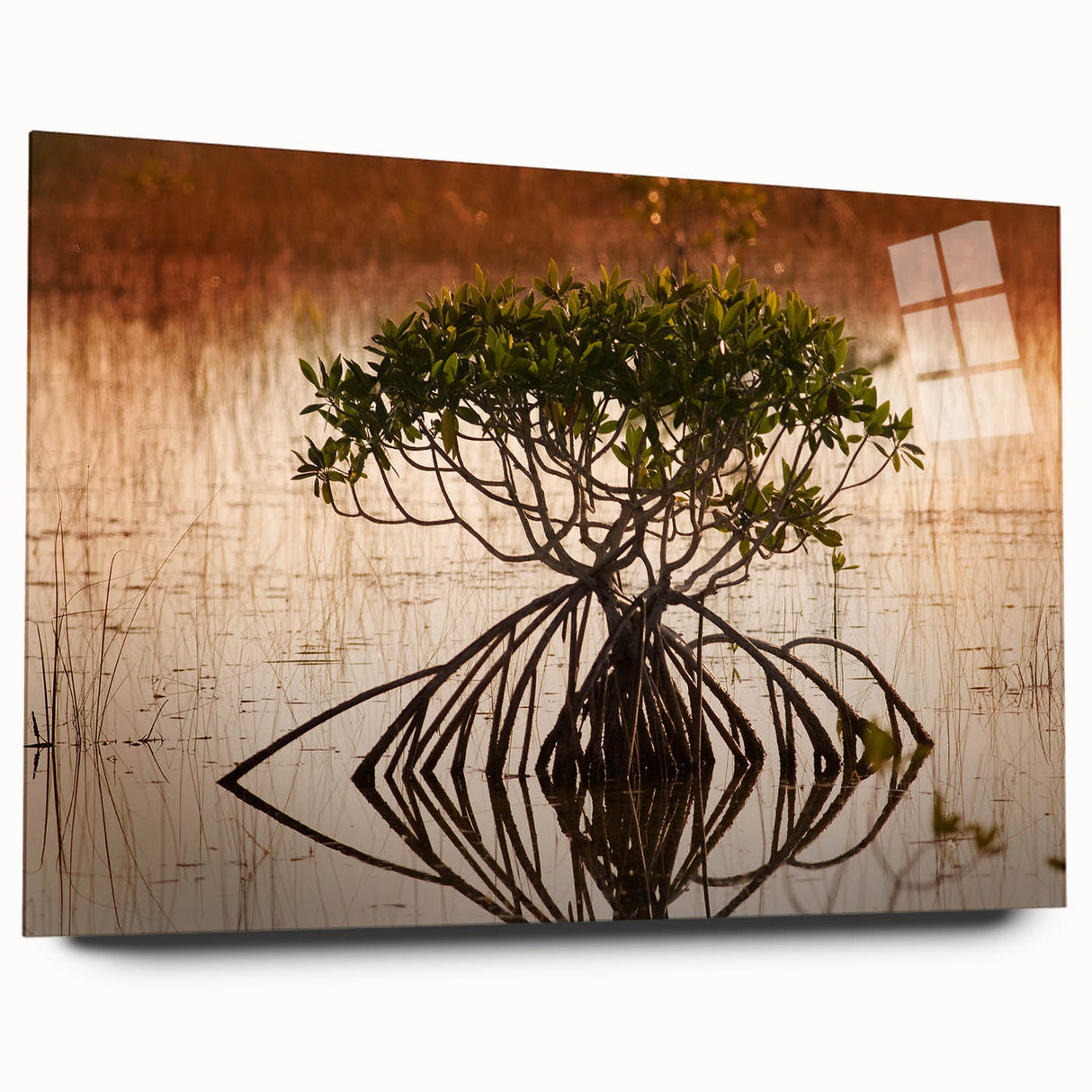 Large abstract depiction of the Everglades in muted green and blue tones on acrylic glass.