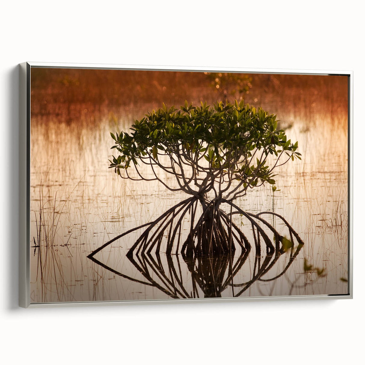 Framed canvas of a vintage-style Everglades landscape painting, featuring muted greens and blues.