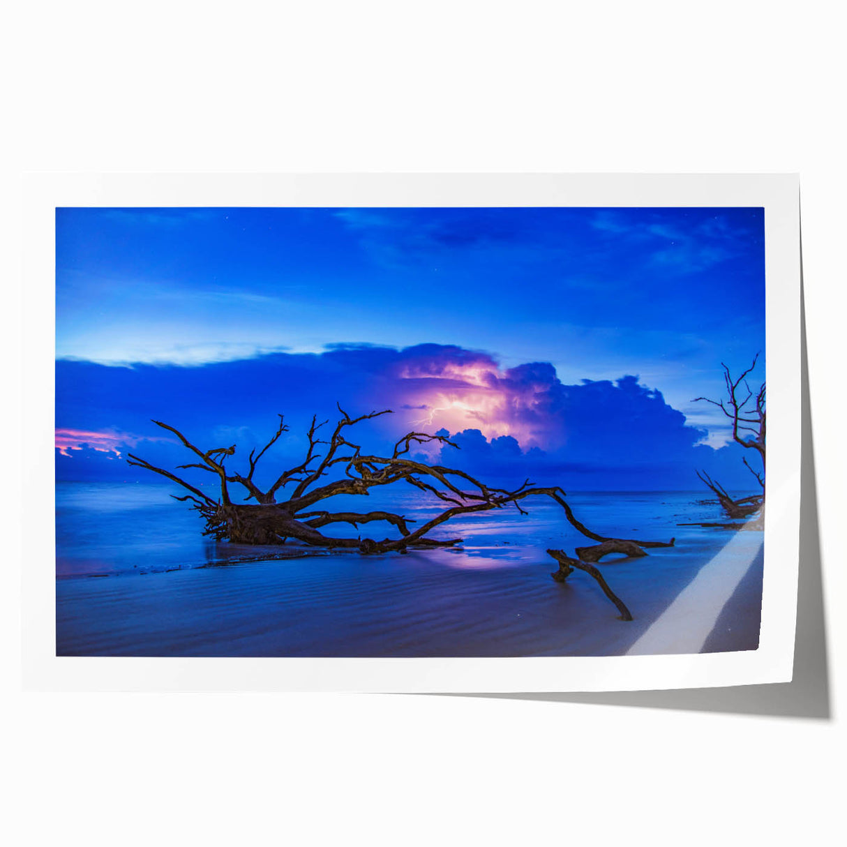 Rolled print of Savannah, Georgia scenery with green and floral accents, suitable for dining room wall art.
