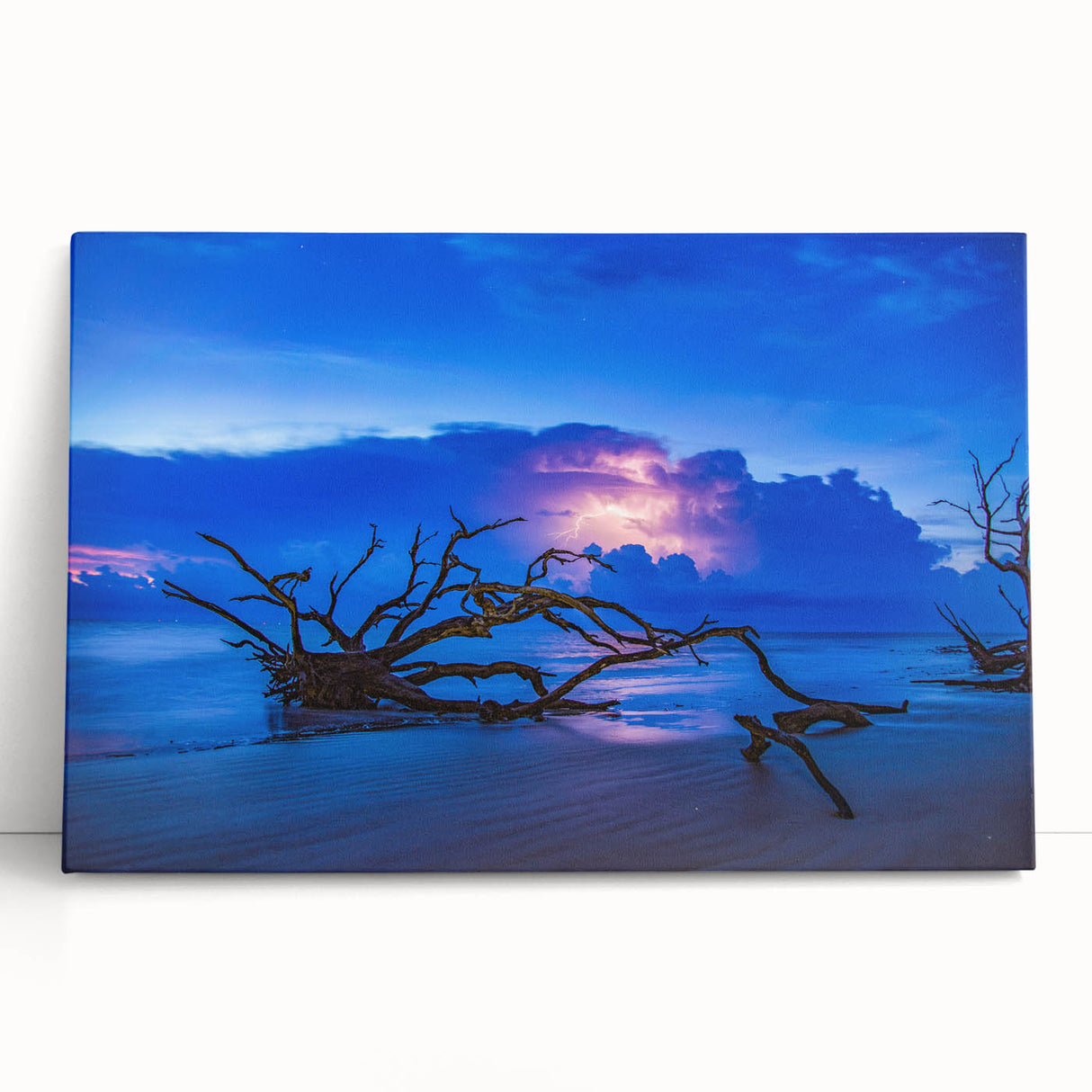 Black and white stretched canvas of Savannah scenery, ideal for kitchen wall art or bedroom ambiance.