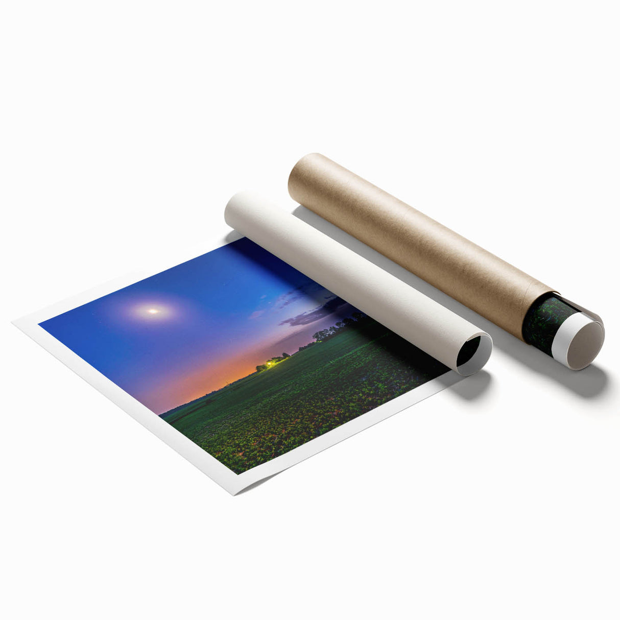 Extra large rolled print featuring a floral art design with soft pastel colors, ideal for classy bathroom wall art.