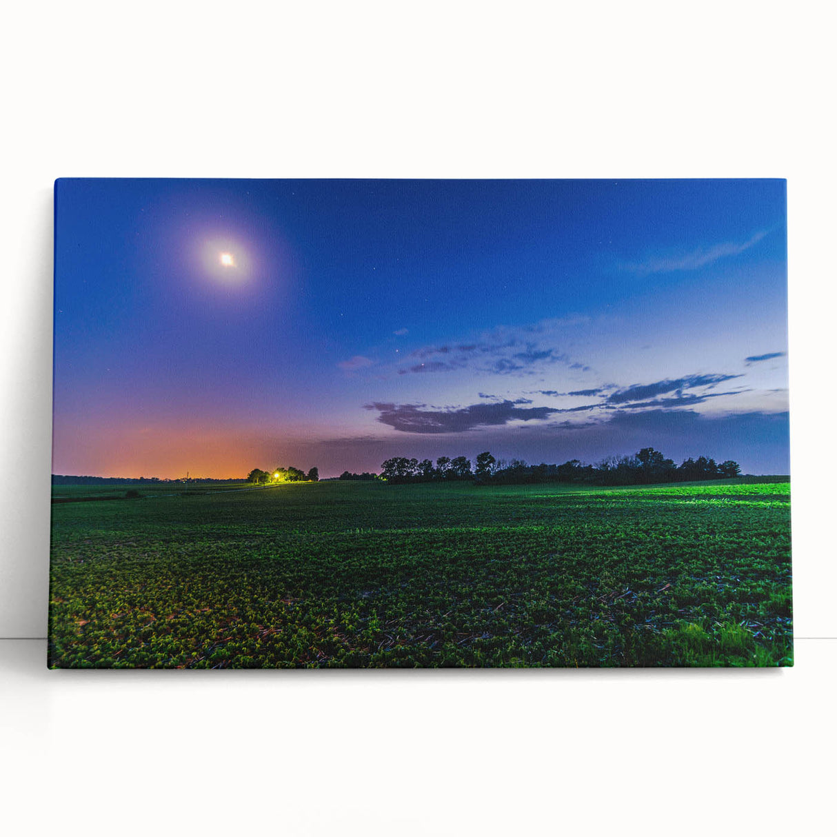 Black and white stretched canvas of Indiana scenery, ideal for kitchen wall art or bedroom ambiance.