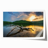 Rolled print of Kentucky scenery with lush greenery and floral elements, suitable for dining room wall art.