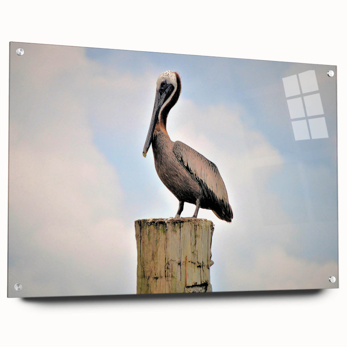 Acrylic print of a large abstract depiction of Louisiana scenery in vibrant colors.