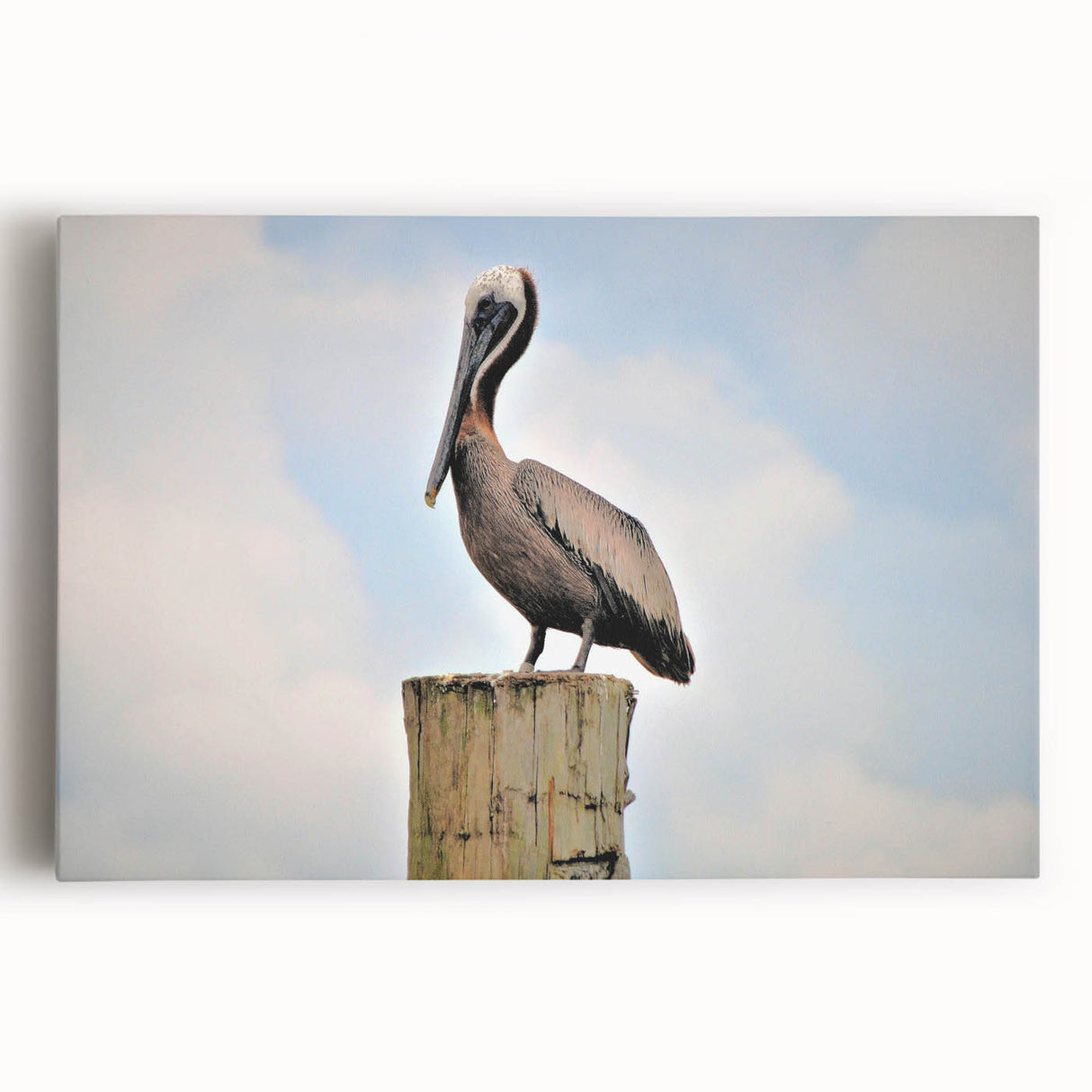 Black and white photo of Louisiana scenery on stretched canvas, ideal for kitchen wall art or bedroom.