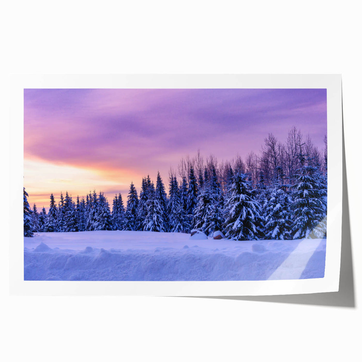 Extra large rolled print of a Minnesota landscape with vibrant green and blue tones, ideal for dining room wall art.