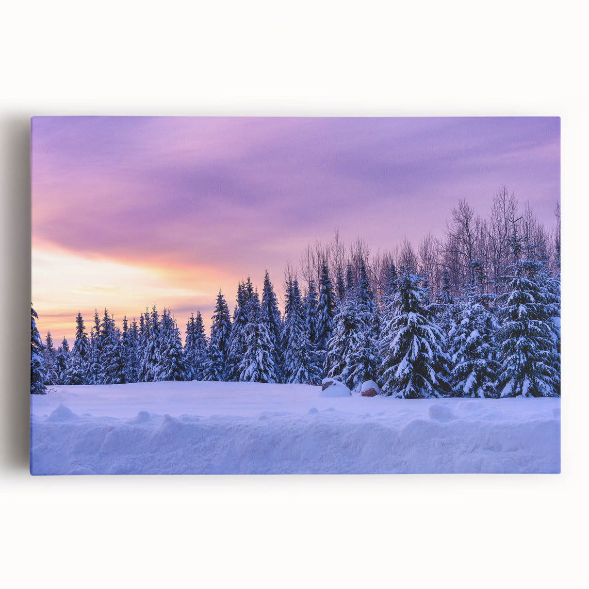 Black and white stretched canvas of Minnesota scenery, ideal for kitchen wall art.