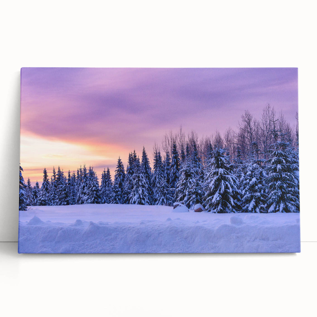Black and white photo of Minnesota scenery on large stretched canvas, ideal for kitchen wall art.