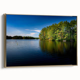 Framed canvas featuring a vintage-style New Hampshire landscape in black and gold tones, ideal for bedroom wall art.