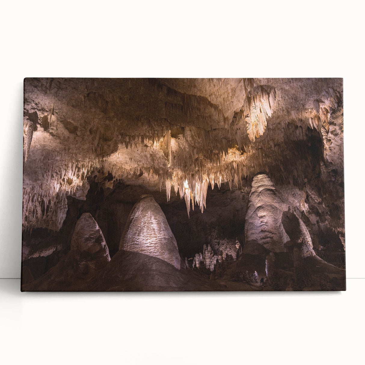 Black and white stretched canvas of a New Mexico landscape, ideal for kitchen wall art or bedroom ambiance.