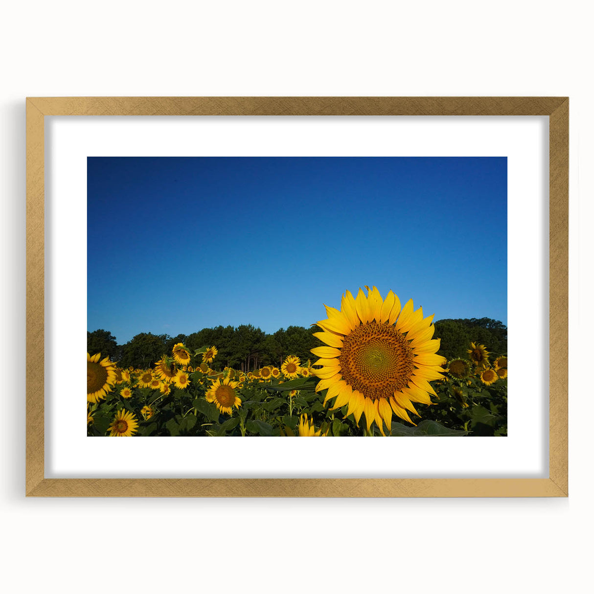 Extra large abstract art print of Raleigh, featuring textured brush strokes in muted earth tones, framed in gold.