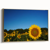 Framed canvas depicting a vintage-style Raleigh landscape in black and gold tones, ideal for bedroom wall art.