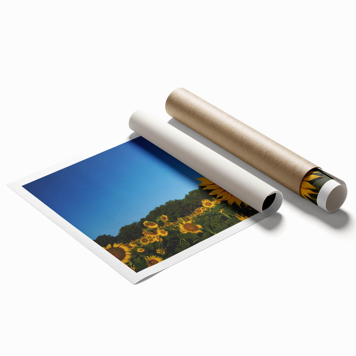 Extra large rolled print of Raleigh, NC scenery with floral designs in soft pastel shades.