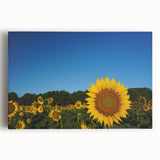Black and white large art print of Raleigh skyline on stretched canvas, suitable for kitchen wall art.