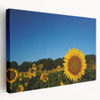 Raleigh skyline depicted in muted earth tones on a large stretched canvas, suitable for kitchen wall art.