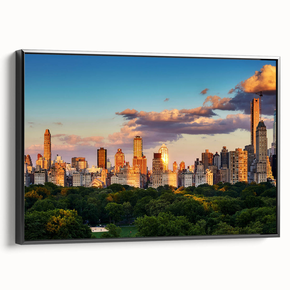 Black and white framed canvas of Central Park landscape, ideal for bedroom wall decor.