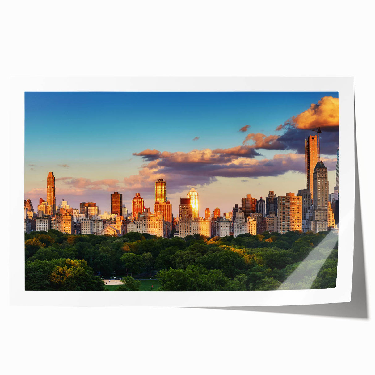 Extra large rolled print depicting Central Park with vibrant green and floral elements, ideal for art wall dining room.