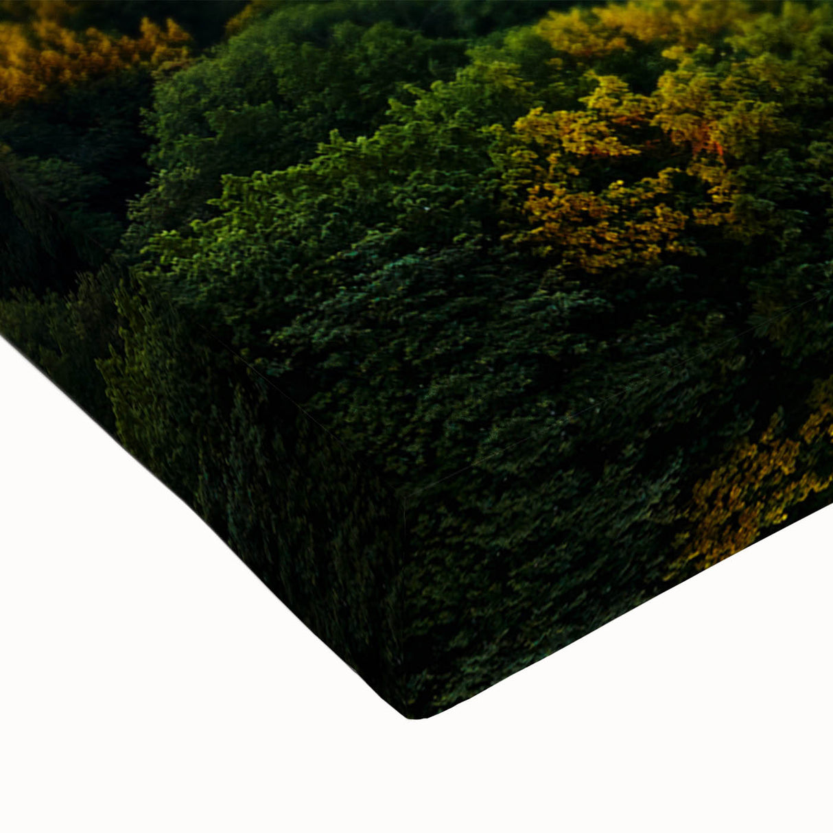 Black and white large art canvas depicting Central Park landscape, ideal for bedroom wall decor.