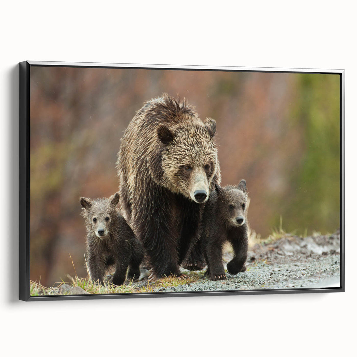 Black and white framed canvas of Grand Tetons landscape, ideal for bedroom wall decor.