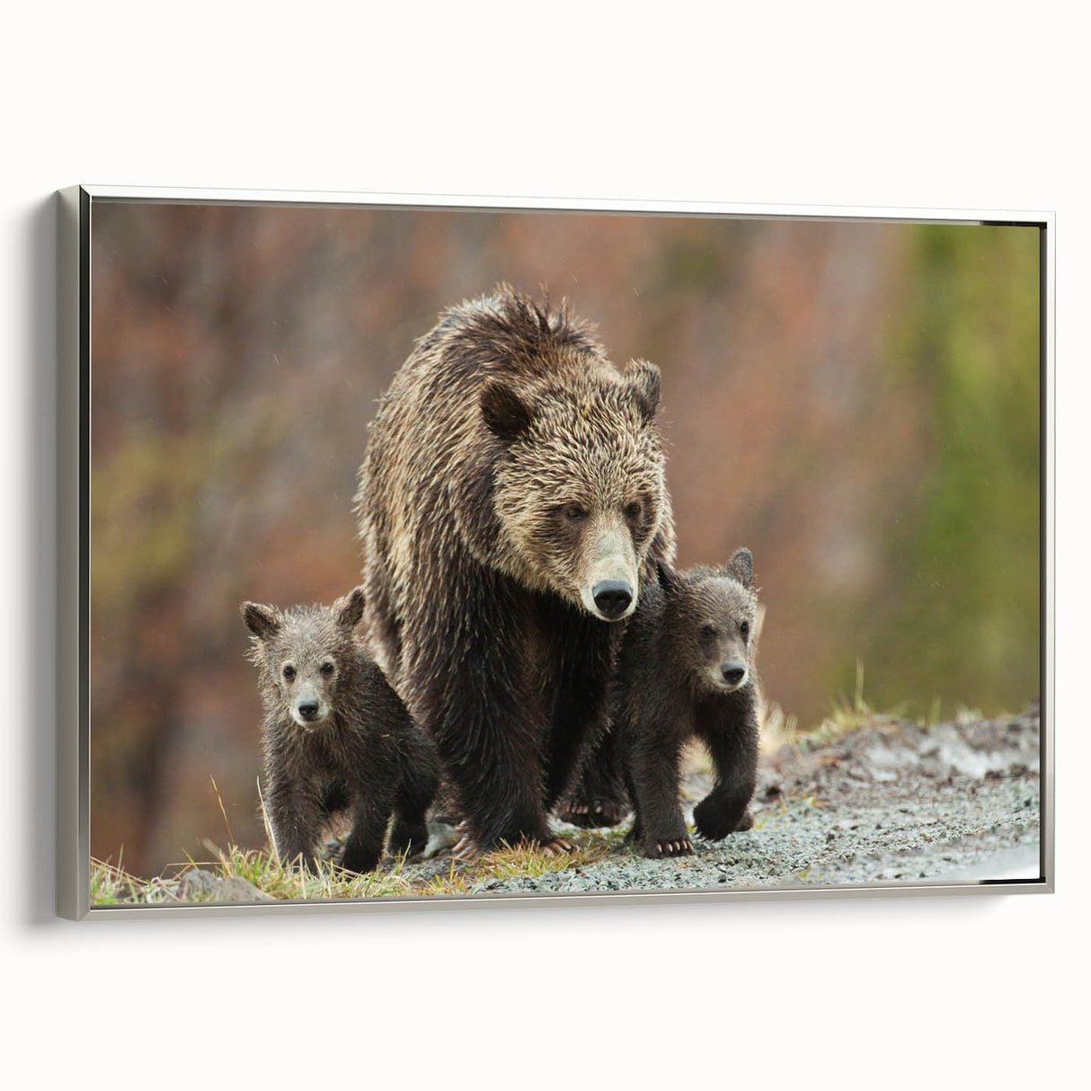 Framed canvas landscape art painting of the Grand Tetons, featuring muted earth tones, ideal for an office or study.