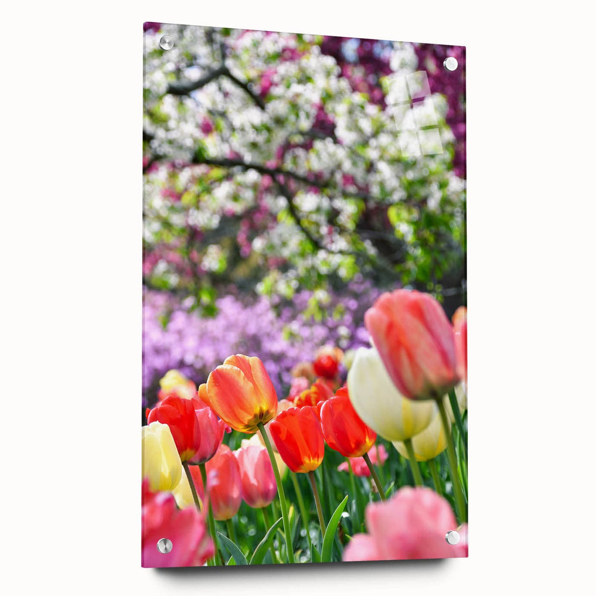 Large abstract wall art featuring spring motifs in pastel shades on acrylic glass, suitable for bedroom or dining room decor.