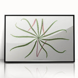 Romanticism Art: "Aralia Veitchii Leaf" by Alexander Lydon