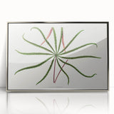 Romanticism Art: "Aralia Veitchii Leaf" by Alexander Lydon