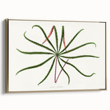 Romanticism Art: "Aralia Veitchii Leaf" by Alexander Lydon